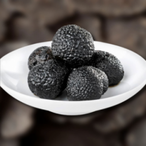Truffe noire "Tuber...