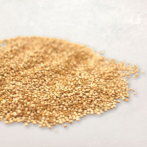 Quinoa blond du Berry 500g
