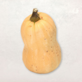 Butternut 900g-1.3kg Butternut 900g-1.3kg