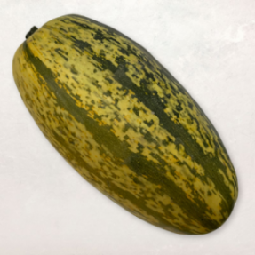 Courge spaghetti