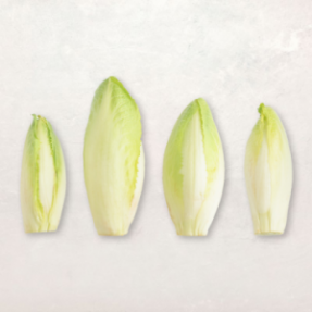 Endives x4  500g-600g