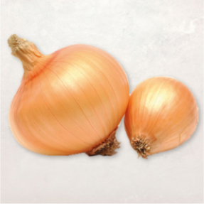 Oignon saucier jaune 6/8 1kg