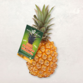 Ananas victoria x1 ±475g Ananas victoria x1 ±475g