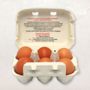 Oeufs plein air moyen BIO x6