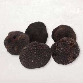 Truffe noire fraîche "Tuber...