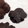 Truffe noire fraîche "Tuber...