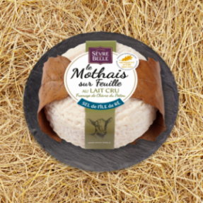 Le Mothais sur feuille |...