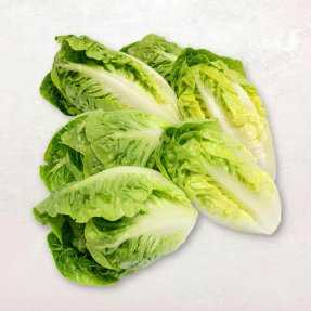 Salade Sucrine x6 450g