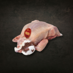 Pigeon de Racan 500-550g Pigeon de Racan 500-550g
