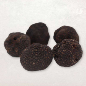 Truffe noire fraîche "Tuber... Truffe noire fraîche "Tuber...
